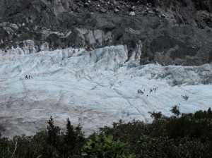 Looking down on the Franz Josef glacier-walkers from Robert's Point.