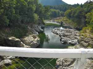 View from the Pelorus River highway bridge