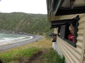Visitors looking out the Roaring Bay Hide at Nugget Point.