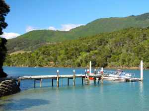 Dock at Mistletoe Bay