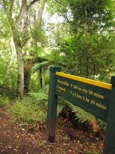 The signed junction to go see the two Waiopohatu waterfalls.